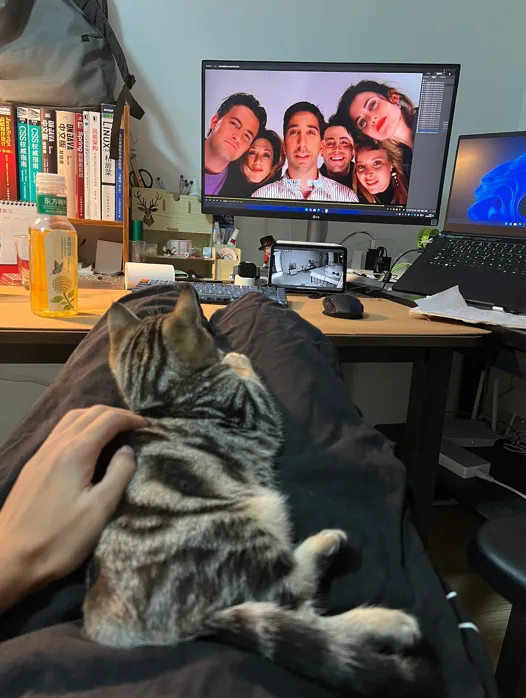 跟我一起看电视