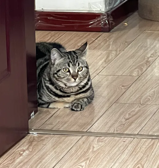 清澈的眼神正在消失，逐渐变得油腻……哈哈